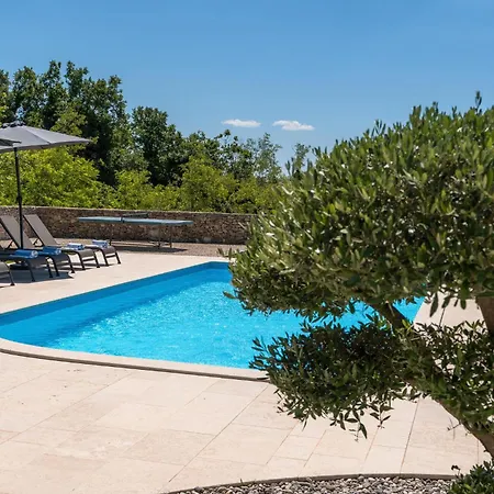 Gemini * بوريتش